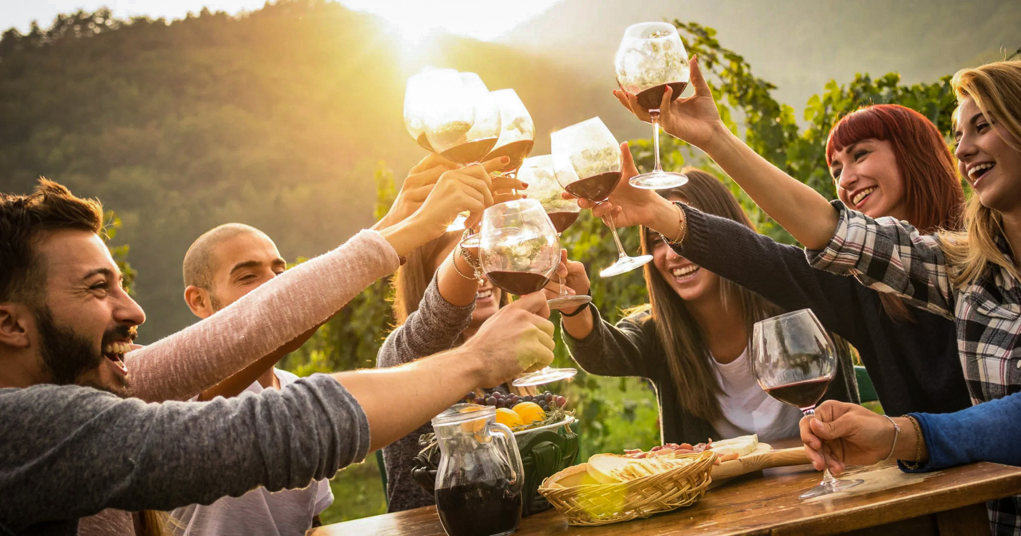 Napa Wines